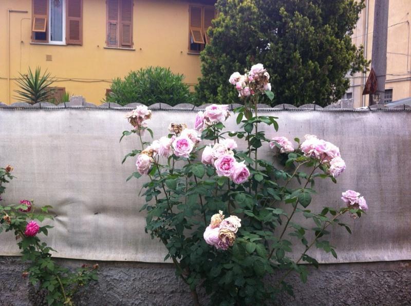 斯培西亚Solemare House Nearby Cinqueterre别墅 客房 照片